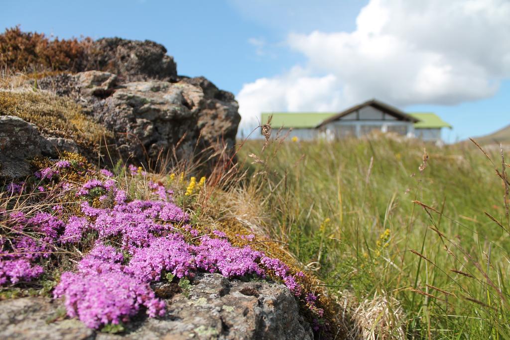 Hoemluholt Holiday Homes ภายนอก รูปภาพ